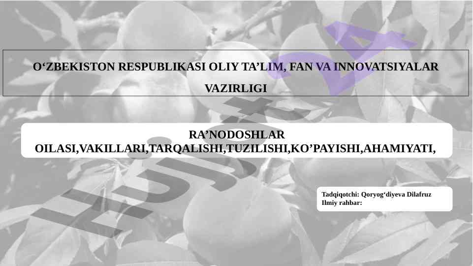 Ra’nodoshlar oilasining ahamiya va o’rganilishi