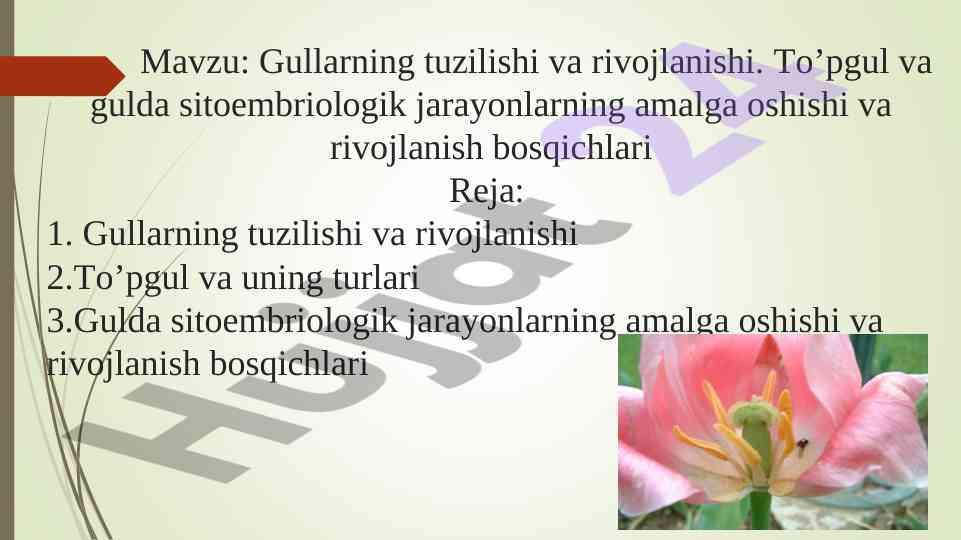 Gullarning tuzilishi va rivojlanishi jarayonlari
