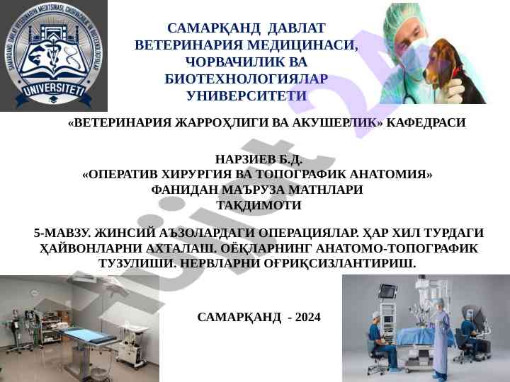 Operatsiya va topografik anatomiyadan ma'ruza matnlari