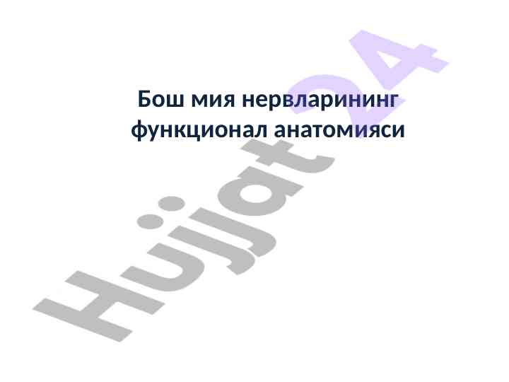 Bosh miya nervlarining funktsional anatomiyasi