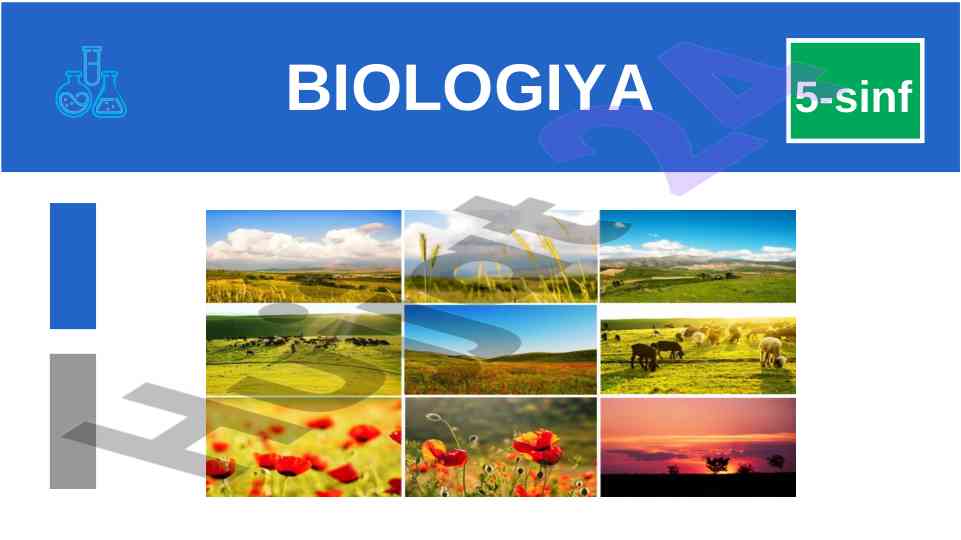 Biologiya 5-sinf o‘quv qo‘llanmasi