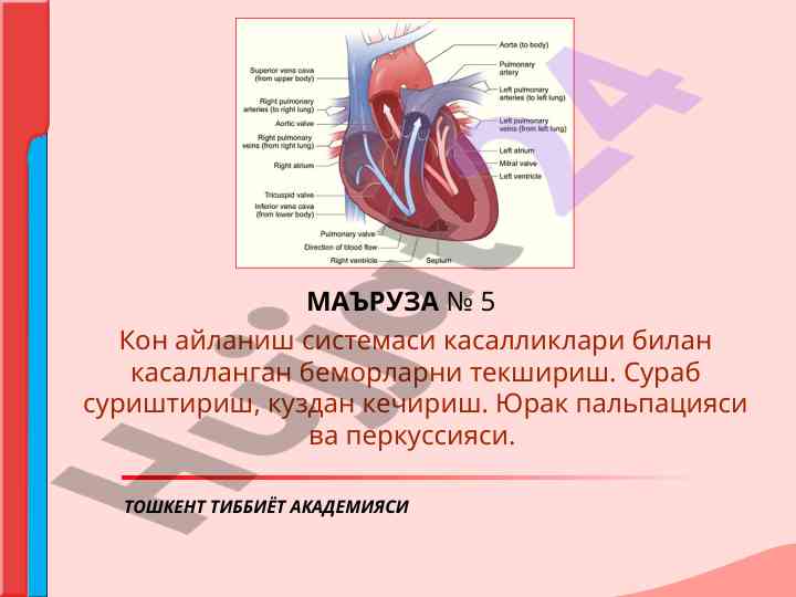 Кон айланиш системаси касалликлари ва текшириш
