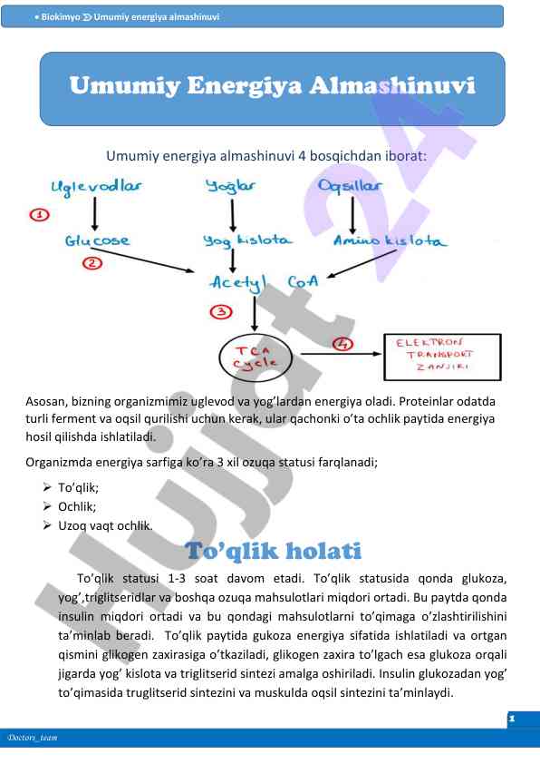 Umumiy energiyalarning almashinuvi va oziq oziqalar