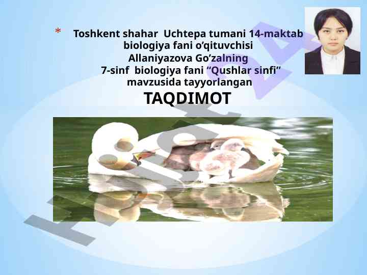 Ko’k kaptarning tashqi va ichki tuzilishi