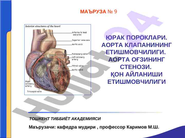 Yurak poroklari va aorta k клапани y етишмовчилиги
