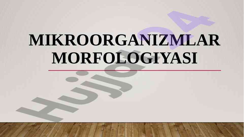 Mikroorganizmlarning morfologiyasi va rivojlanish sikli