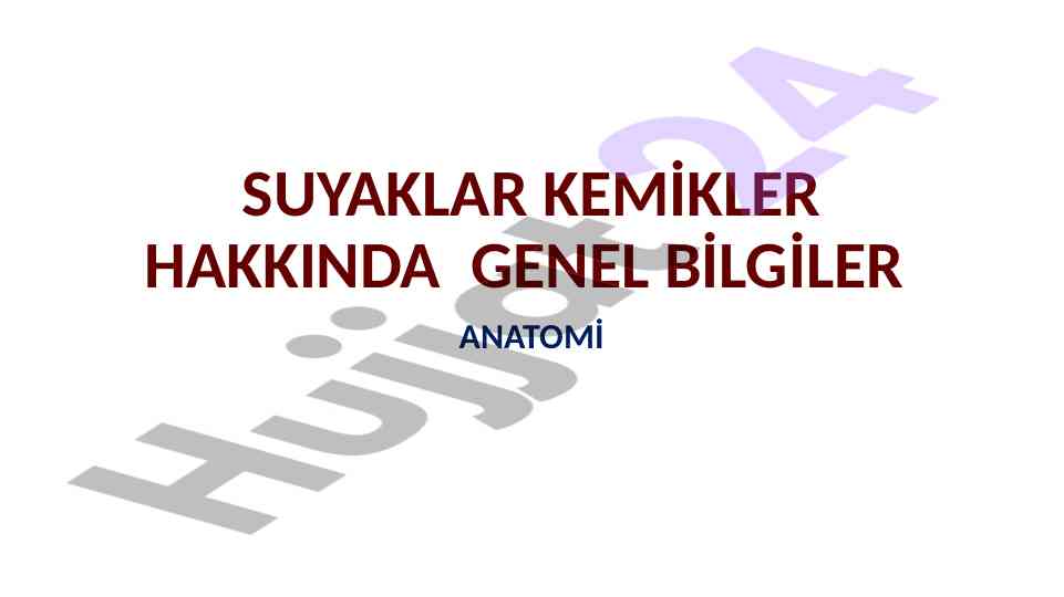 Suyaklar kemikler hakkında genel bilgiler anatomisi