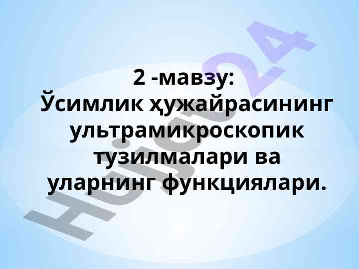 Ўсимлик ҳужайрасининг ультрамикроскопик тузилмаси