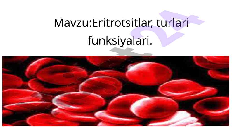 Eritrotsitlar turlari va funksiyalari haqida ma'lumot