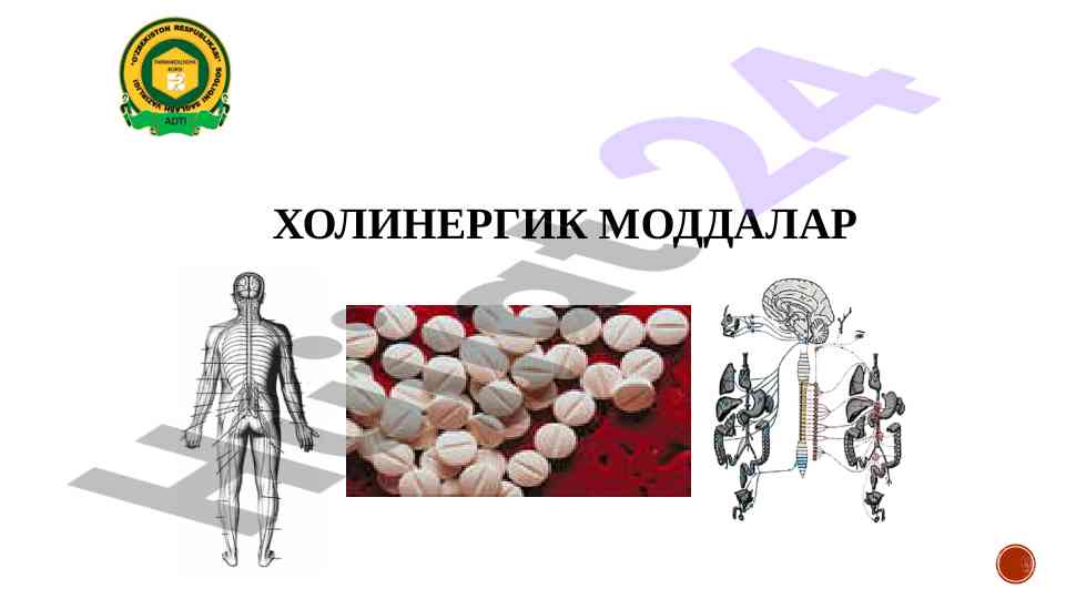 Холинергик моддалар ва иннервация тасири