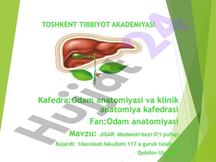 Jigar o’t yo’llari kasalliklari va sarg‘ayish sindromi