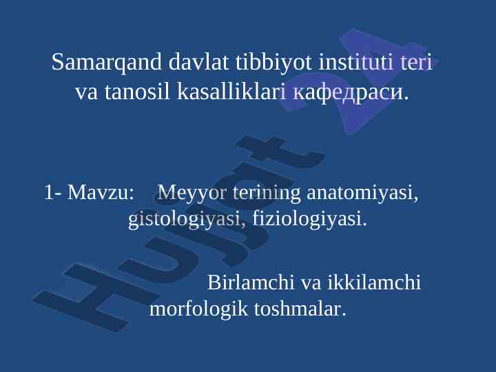 Meyyor terining anatomiyasi va fiziologiyasi
