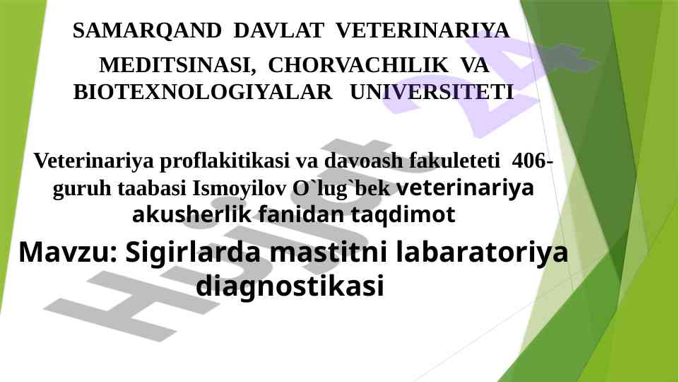 Sigirlarda mastitni laboratoriya diagnostikasi taqdimoti