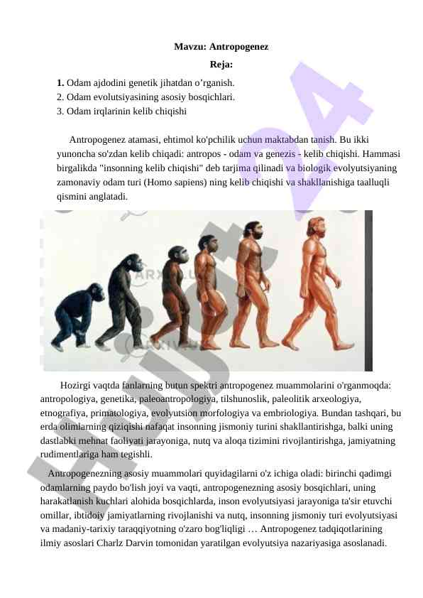 Antropogenez o‘rganish asoslari va muammolari