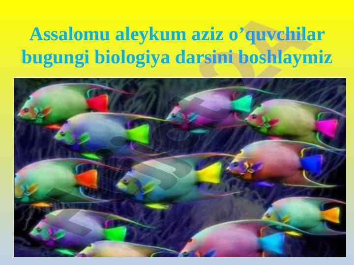 Baliqlarning ko‘payishi va rivojlanishi darsi