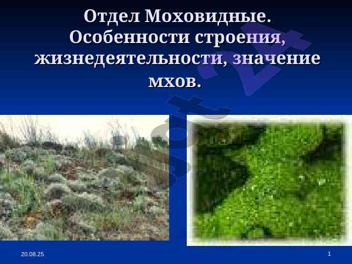 Mokhovidnye: osobennosti stroneniya i zhiznedeiatelnosti