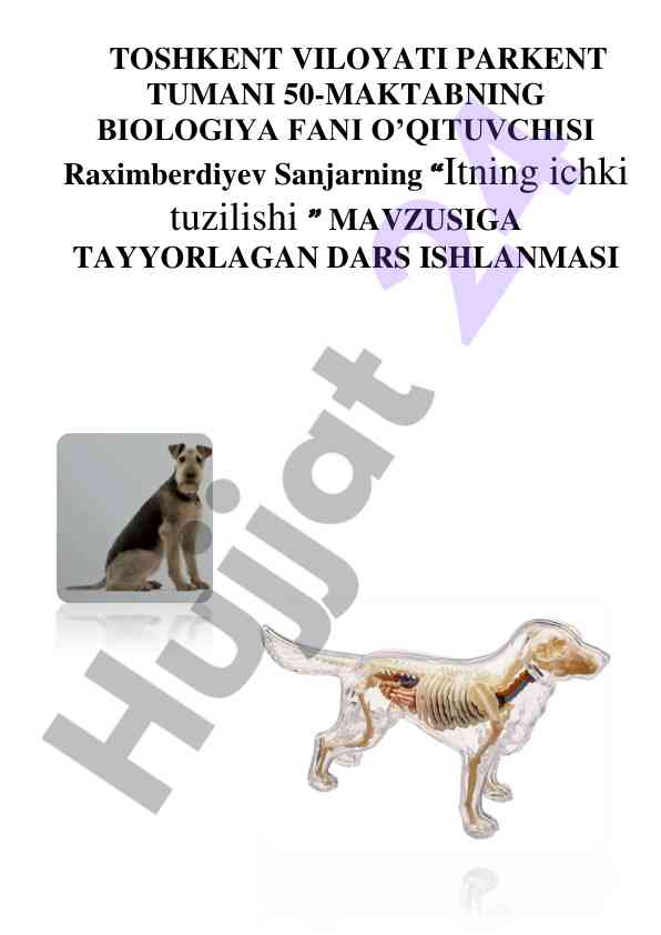 Itning ichki tuzilishi dars ishlanmasi