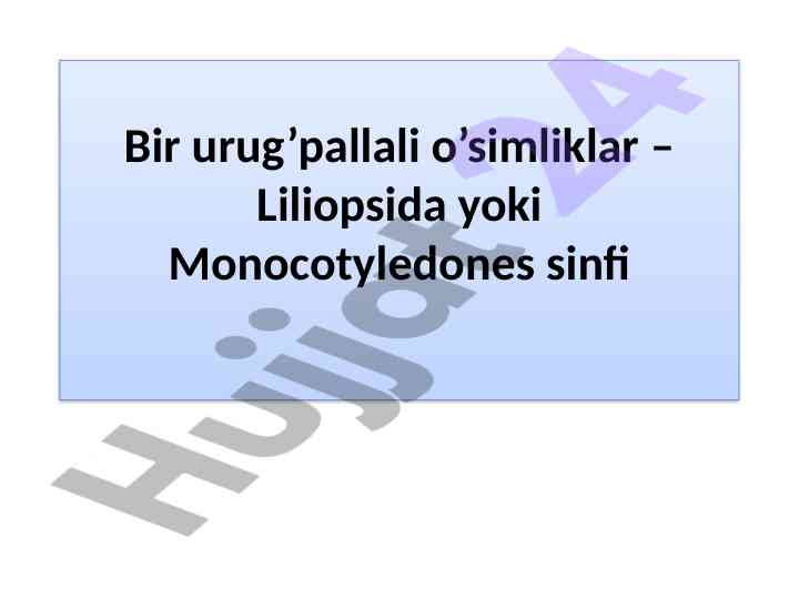 Bir urug’pallali o’simliklar tasnifi va tavsifi