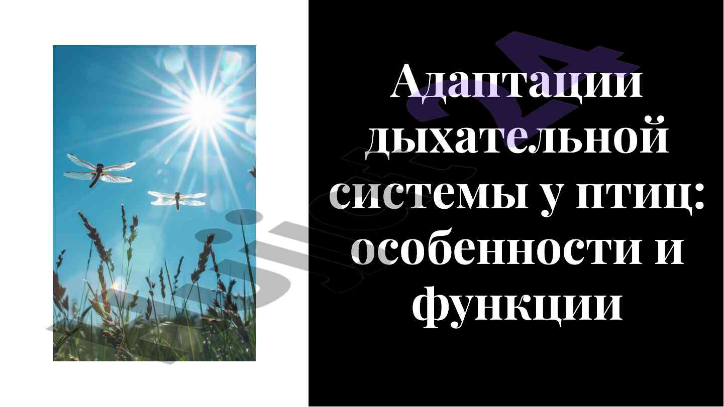 Адаптации дыхательной системы у птиц особенности и функции