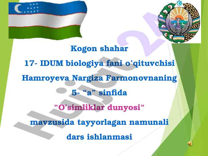 O’simliklar dunyosiga oid namunal dars ishlanmasi
