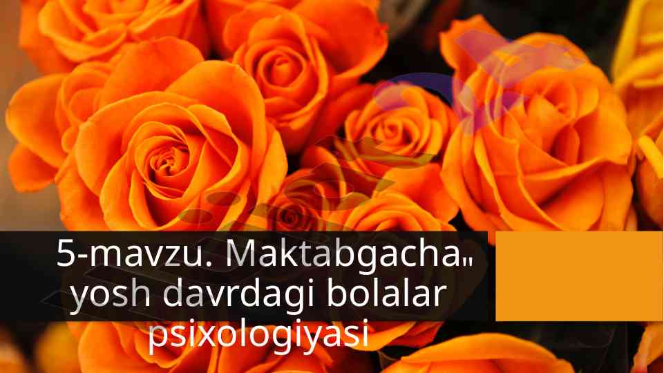 Maktabgacha yosh davridagi bolalar psixologiyasi