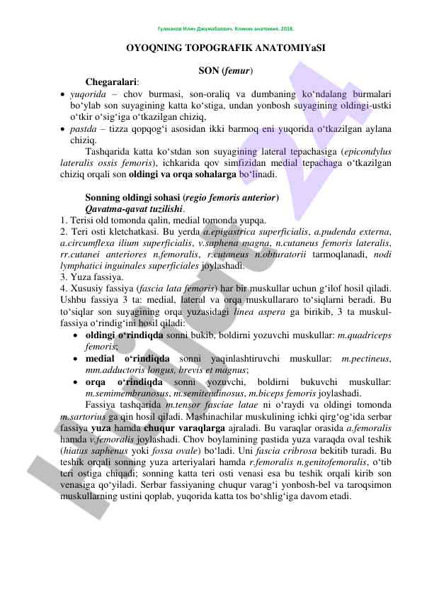 Oyoqning topografik anatomiyasi son