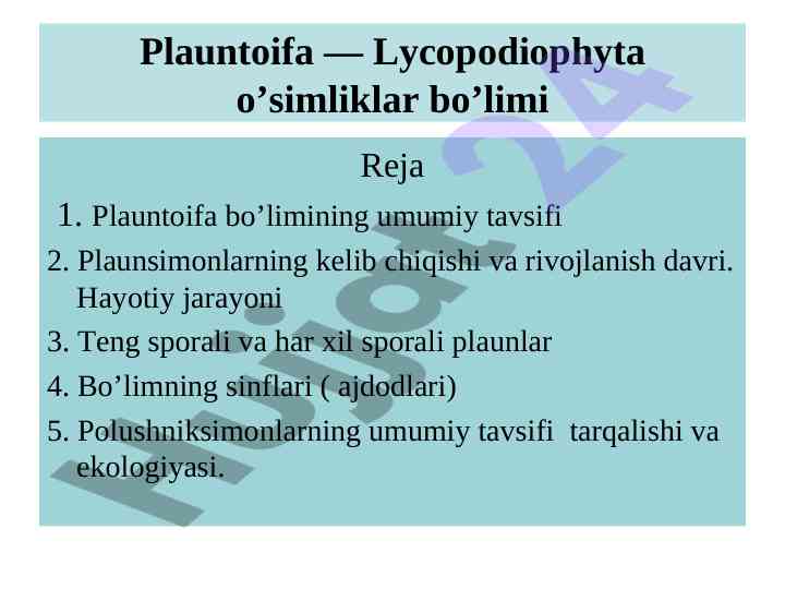 Plauntoifa - lycopodiophyta o’simliklar tavsifi