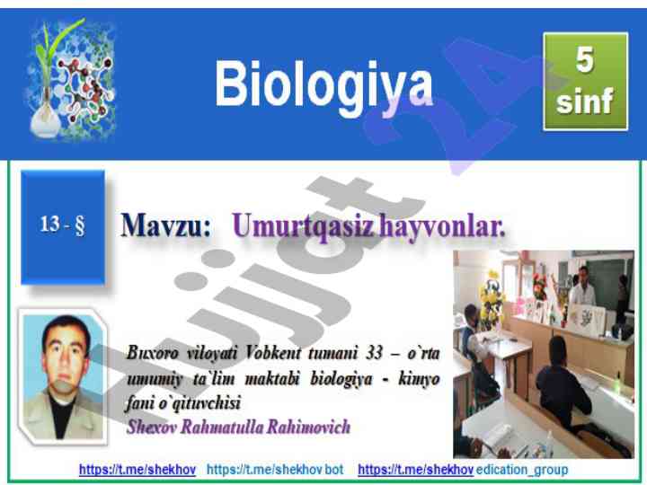 Fauna va flora tabiati haqida ma'lumotlar