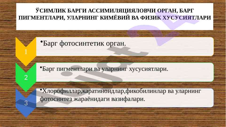 Баргнинг тузилиши ва хлоропластлар тўғрисида