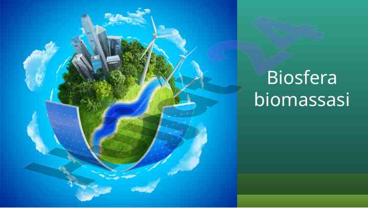 Biosfera biomassasi: tirik organizmlar massasi