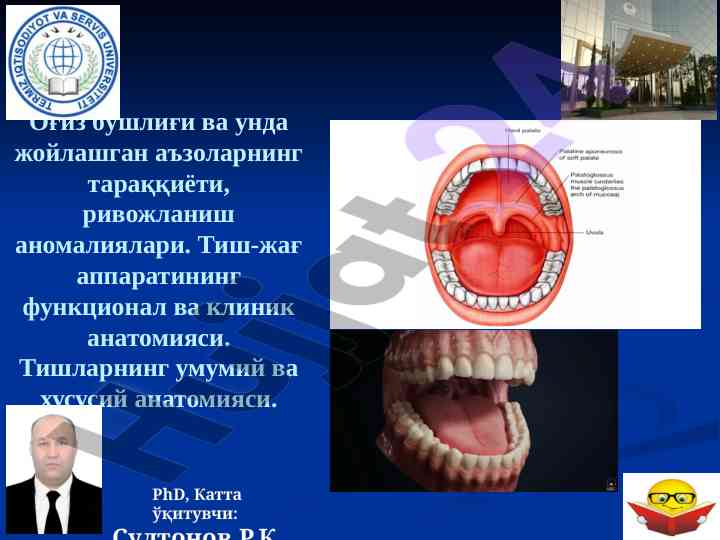 O'giz bo'shliqi va tish-jağ apparati anatomsiyasi