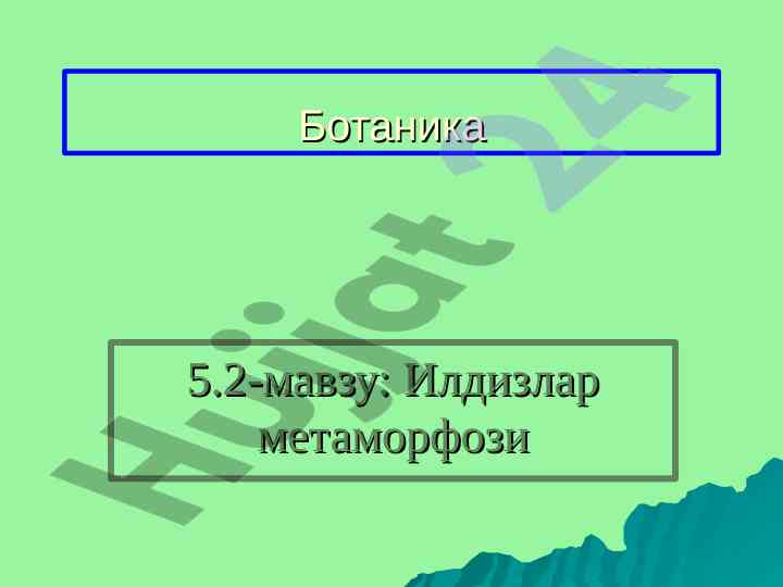 Ilidizlar metamorfozi va asosiy savollar