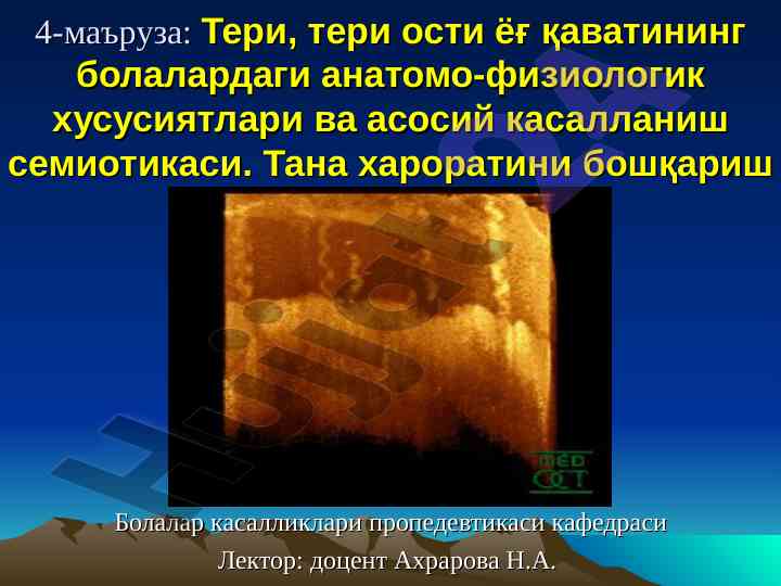 Тери ости ёғ қаватининг анатомо-физиологик хусусиятлари