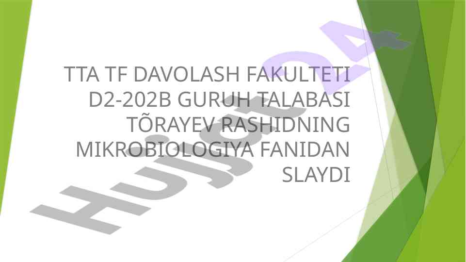 Shartli patogen anaerob koklarni o‘rganish