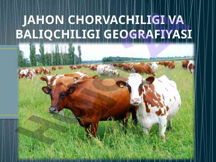 Jahon chorvachiligi va baliqchiligi geografiyasi