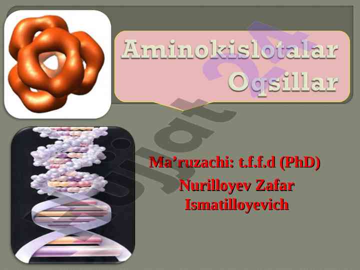 Aminokislotalar va oqsillar: tuzilishi va vazifalari