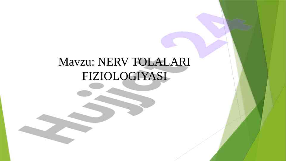 Nerv tolalari fiziologiyasi tushunchalari va tuzilishi