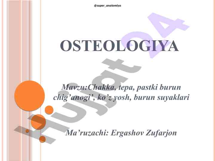Osteologiya bosh suyagi tuzilishi va funksiyasi