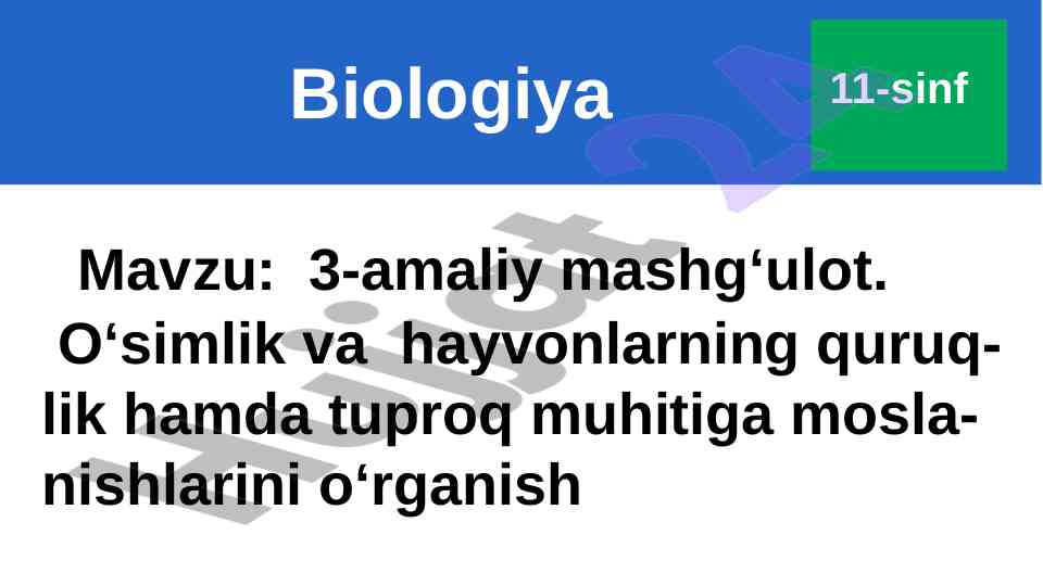 O‘simlik va hayvonlarning muhitga moslanishi