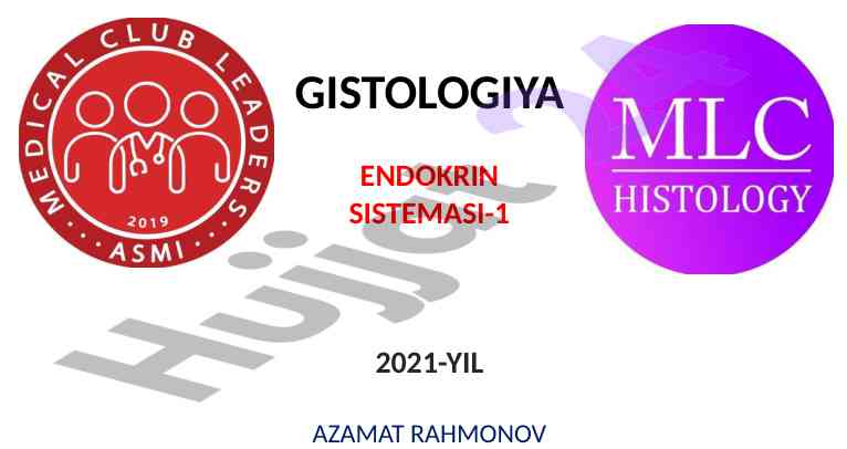 Endokrin sistema va gormonlar tahlili