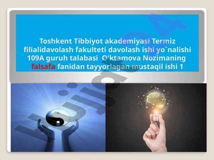 Falsafa fanidan mustaqil ish: dunyoqarash temasi