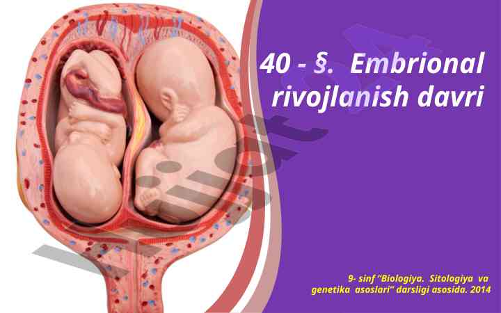 Embrional rivojlanish davri biologiya darsligi