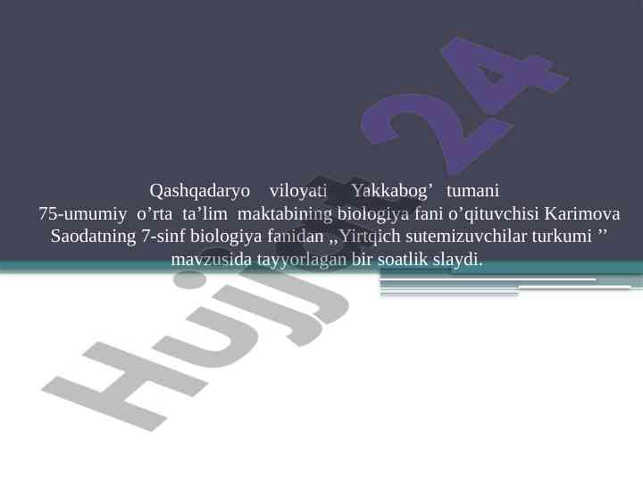 Yirtqich sutemizuvchilar turkumi dars ishlanmasi