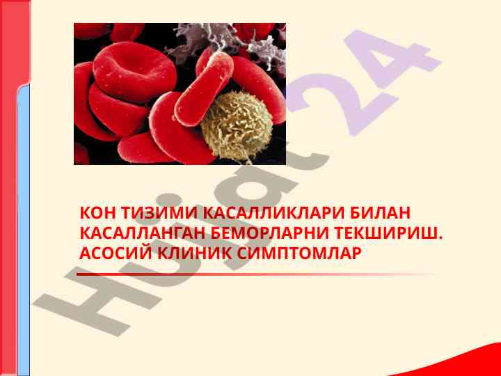 Kon tizimi kasalliklari bilan kasallangan bemorlarda