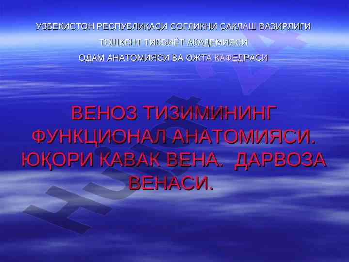 Venoz tizimining funktsional anatomiyasi