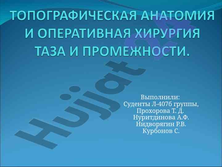 Анатомия таза человека и его структура
