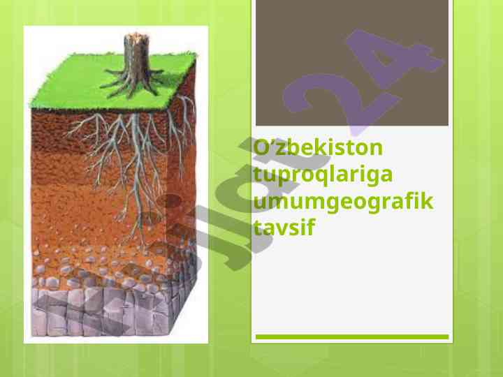 O’zbekiston tuproqlari umumgeografik tavsifi
