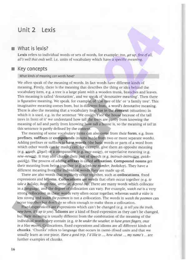 Understanding lexis and its different meanings