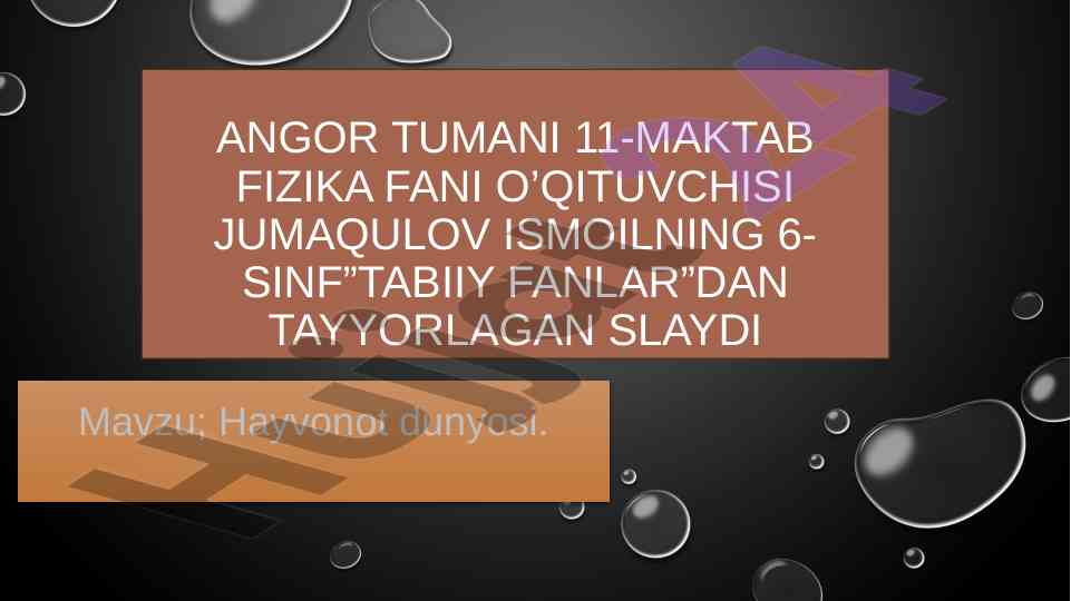 Hayvonot dunyosi mavzusi bilan slayd tayyorlash