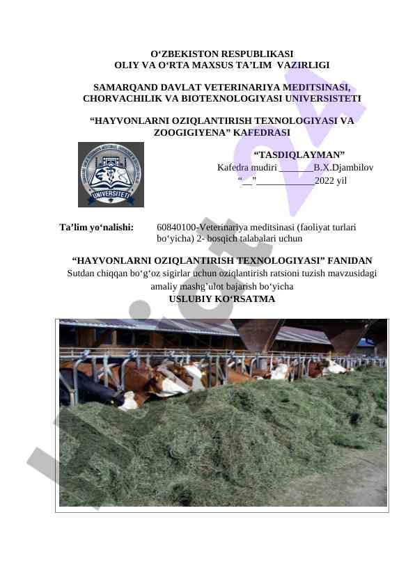 Sutdan chiqqan bo‘g‘oz sigirlar uchun oziqlantirish ratsioni